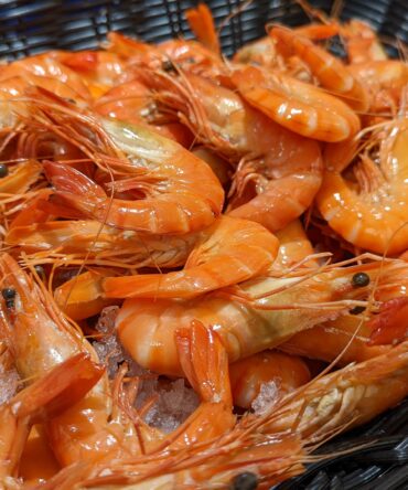 Crevettes Perle de Corail
