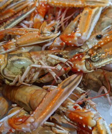 Langoustines cuites 20/30