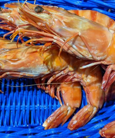 Crevettes sauvages 6/8