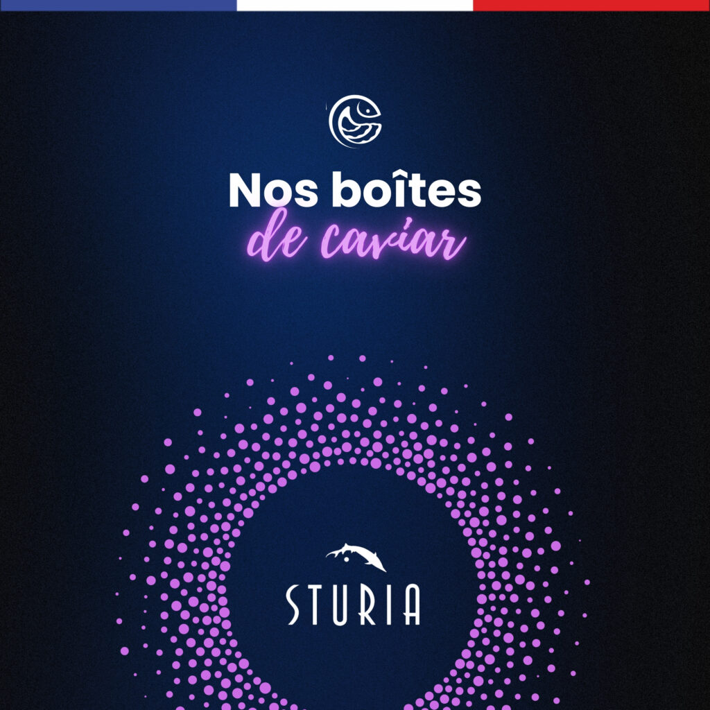 Nos boîtes de caviar