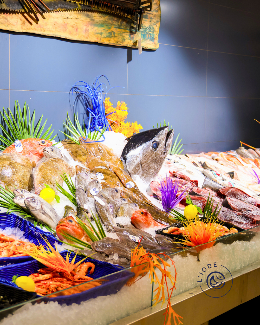 étalage de la poissonnerie l'Iode