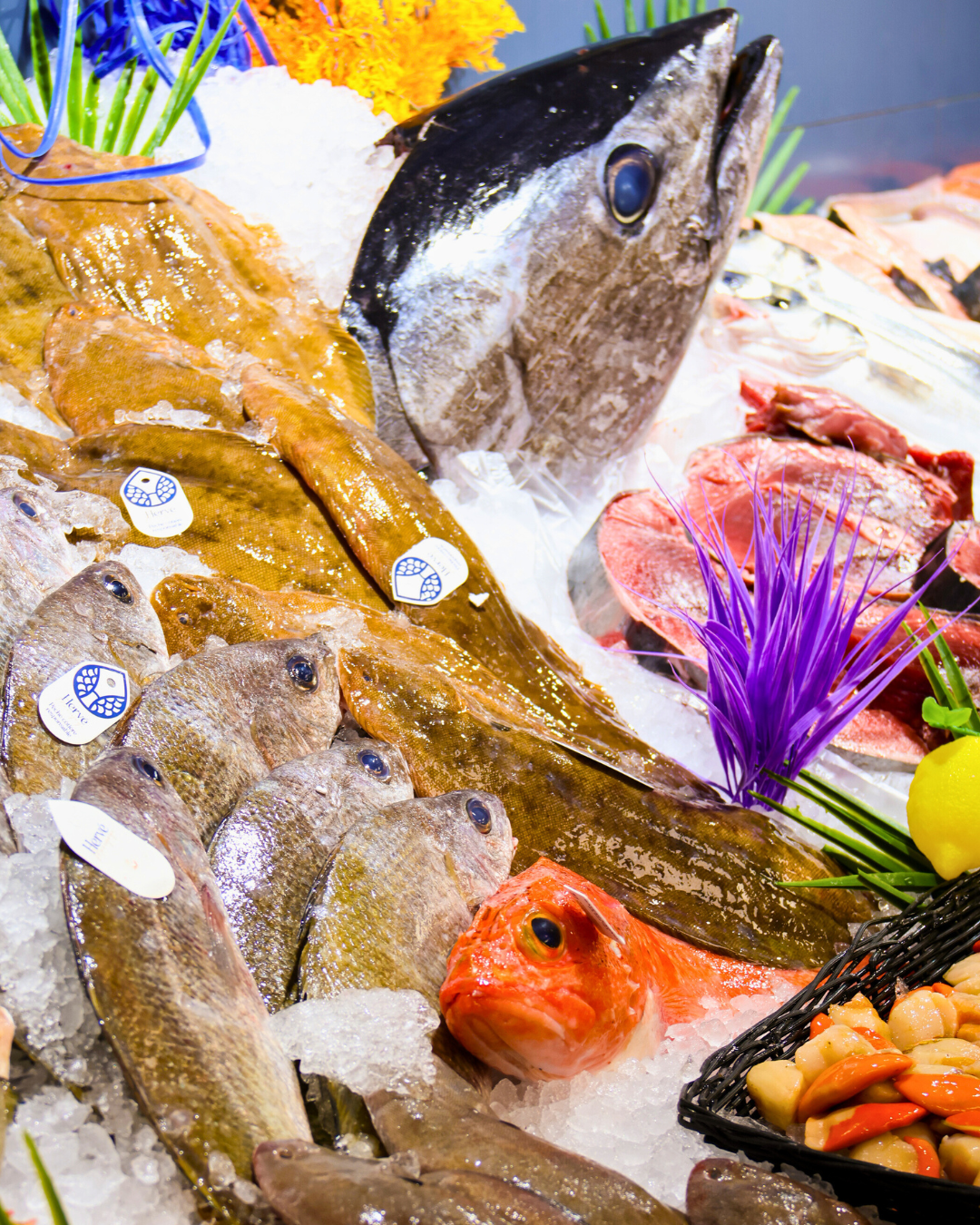 Poissonnerie L'Iode poissons frais